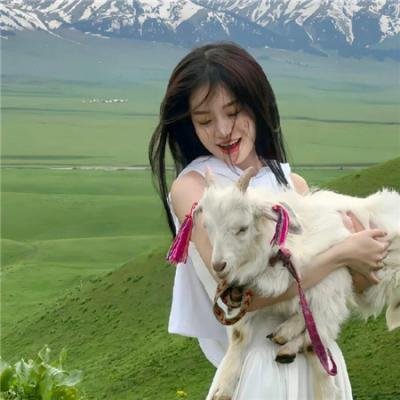 角斗英雄